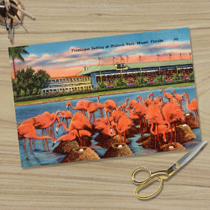 Vintage Flamingo Nest Lage in Miami FL Seidenpapier