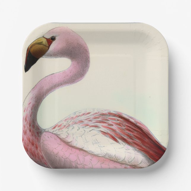 Vintage Flamingo Pappteller (Vorderseite)
