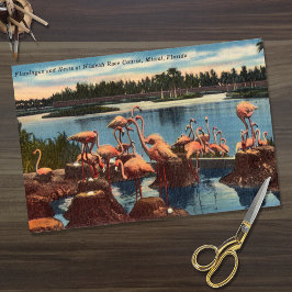 Vintage Flamingos auf Nests in Miami Florida Seidenpapier