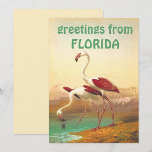 Vintage Flamingos Gruß aus Florida Reise Karte