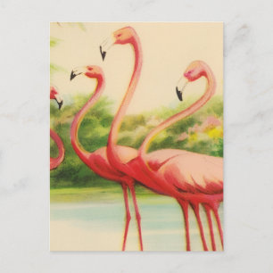 Vintage Flamingos Postkarte