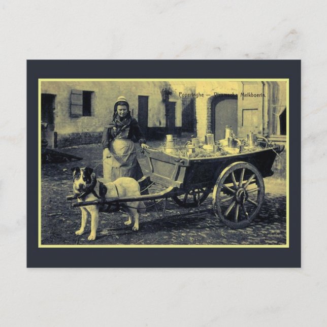 Vintage flämische Milchmädchen, Hundekarren Postkarte (Vorderseite)