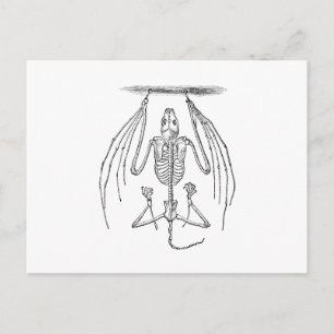Vintage Fledermausskelett - Fledermäuse und Hallow Postkarte