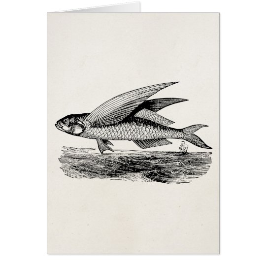Vintage Fliegen-Fische - Wasserfisch-Schablone Karte