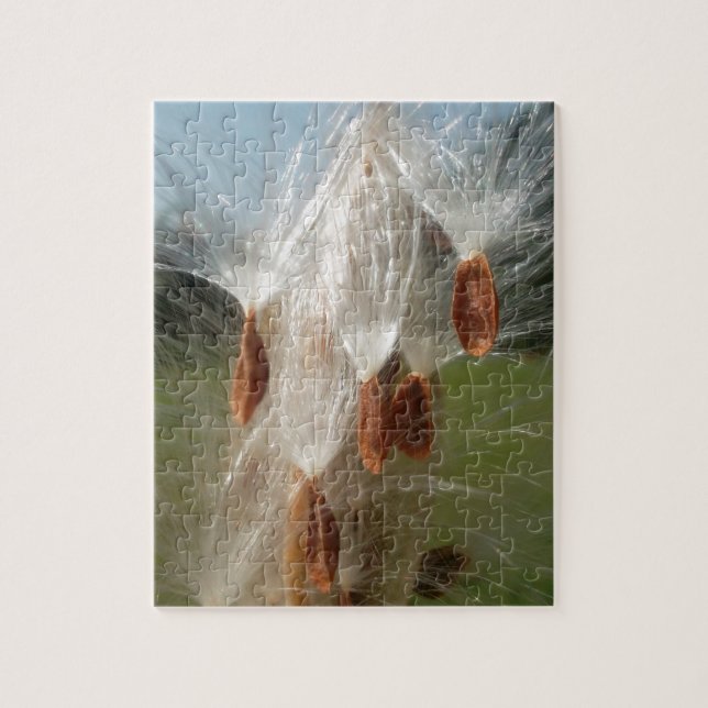 Vintage Flora und Fauna Milkweeds Floating.jpg (Vertikal)