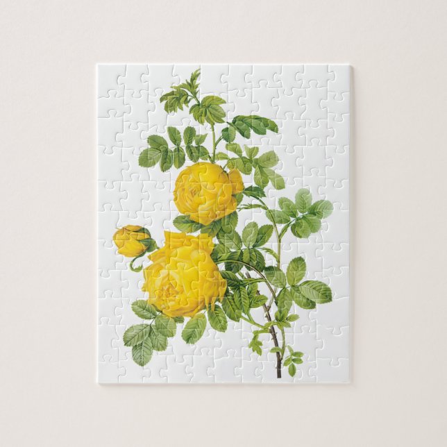 Vintage florale Blume, Gelbe Rosen von Redoute (Vertikal)