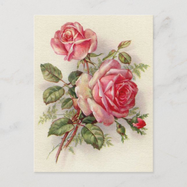 Vintage florale Rose elegante Postkarte (Vorderseite)