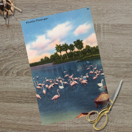 Vintage-Florida-Flamingos Seidenpapier