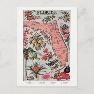 Vintage Florida-Karte Postkarte