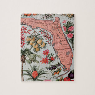 Vintage Florida Map