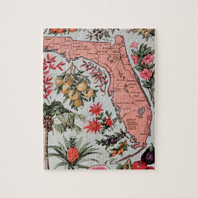 Vintage Florida Map (Vertikal)