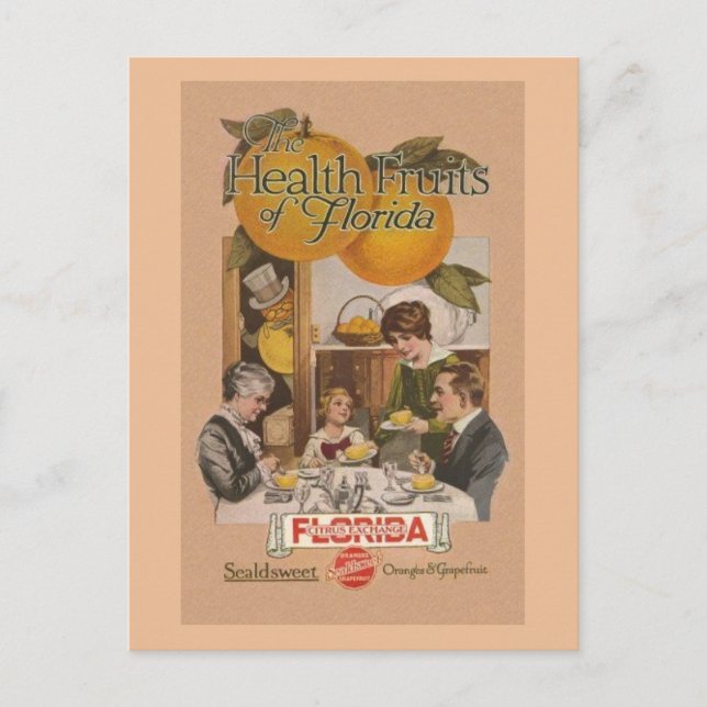 Vintage Florida Orange und Grapefruits Postkarte (Vorderseite)