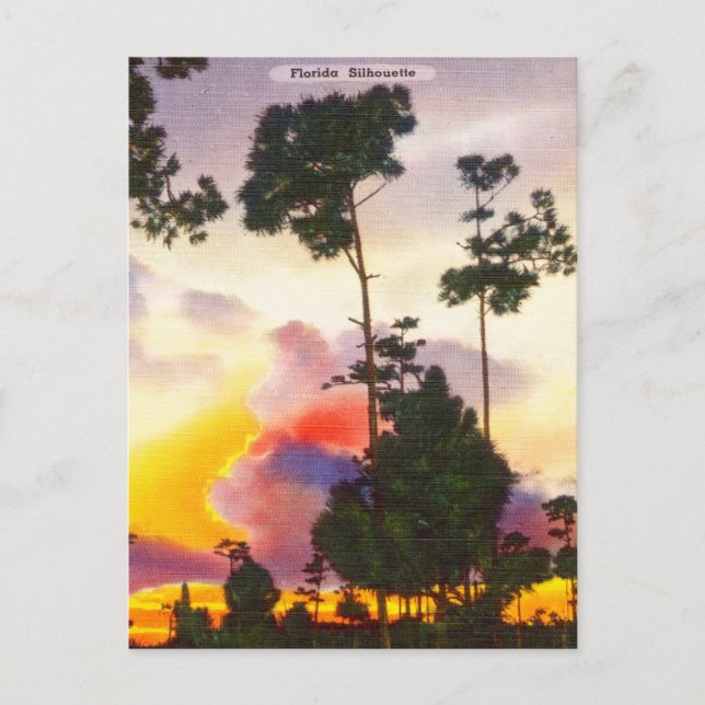 Vintage Florida Silhouette Sunrise Postkarte (Vorderseite)