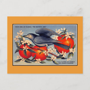 Vintage Florida Staatsblume, Staatsvogel Postkarte