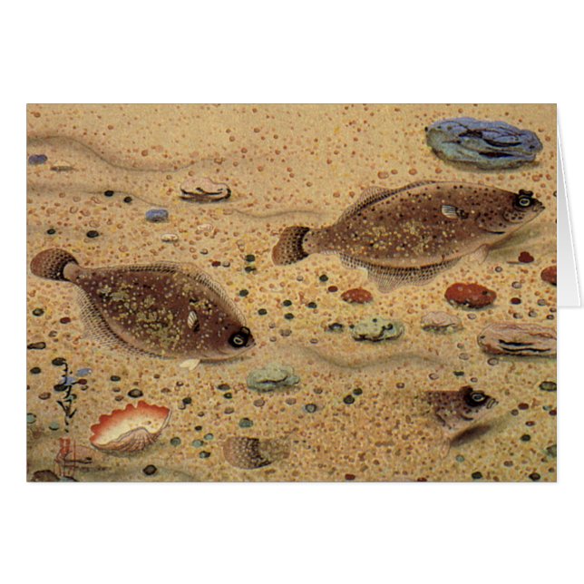 Vintage Floundern, Meeresfauna und -flatter (Vorderseite (Horizontal))