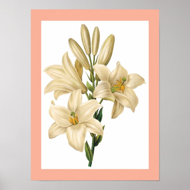 Vintage Flower poster 1 (Vorne)