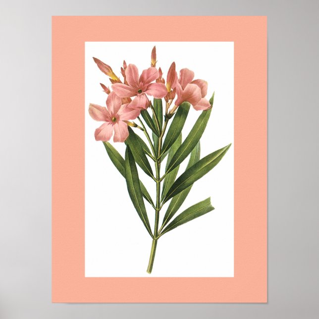 Vintage Flower poster 3 (Vorne)