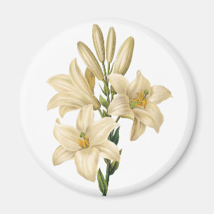Vintage Flowers Magnet 1