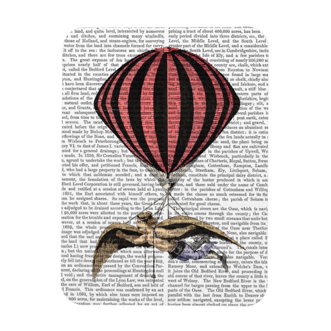 Vintage Flugmaschine Magnet (Vertikal)