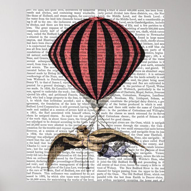 Vintage Flugmaschine Poster (Vorne)