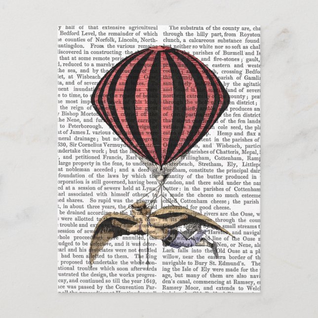 Vintage Flugmaschine Postkarte (Vorderseite)