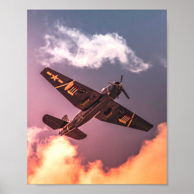 Vintage-Flugzeug Schöner Himmel Poster (Vorne)