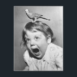 Vintage Foto Postcard Postkarte<br><div class="desc">Oh,  Horrors!</div>