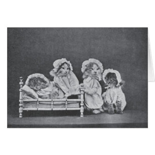 Vintage-Foto - Schlafenszeit für vier Kätzchen,