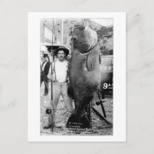 Vintage-Fotografie eines Mannes mit riesigem Fisch Postkarte