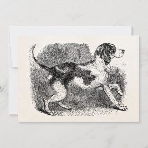 Vintage Fox Hound Dog 1800s Hounds Dogs Modèle