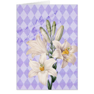 Vintage französische botanische Lilien