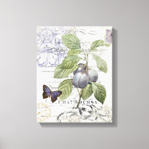 Vintage französische botanische Pflaume Leinwanddruck