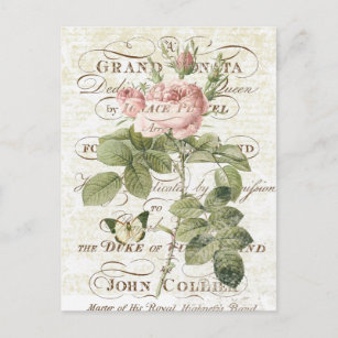 Vintage französische botanische Rosenpostkarte Postkarte