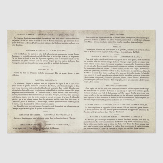 Vintage französische Buchseiten Seidenpapier (Vorderseite)