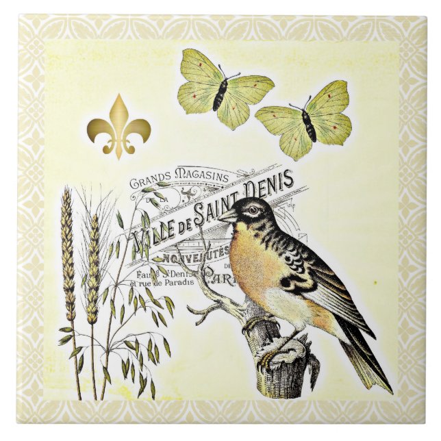 Vintage französische Collage Vogel Schmetterling F Fliese (Vorderseite)