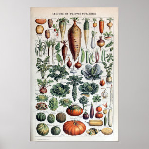 Vintage französische Gemüse und pflanzliche Pflanz Poster