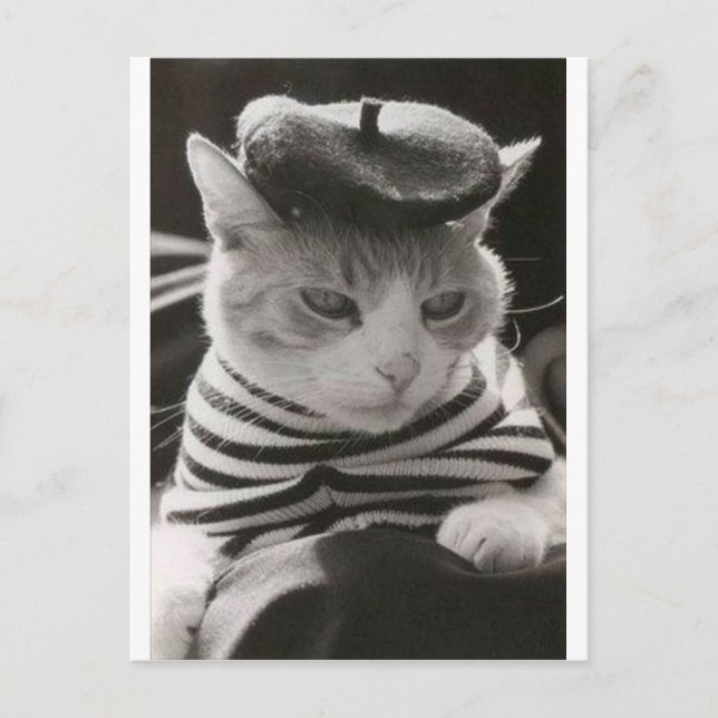 Vintage französische Katze Postkarte (Vorderseite)