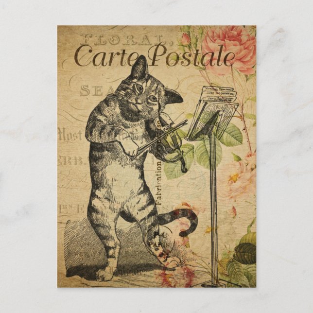 Vintage französische Katze Violine spielen Postkarte (Vorderseite)
