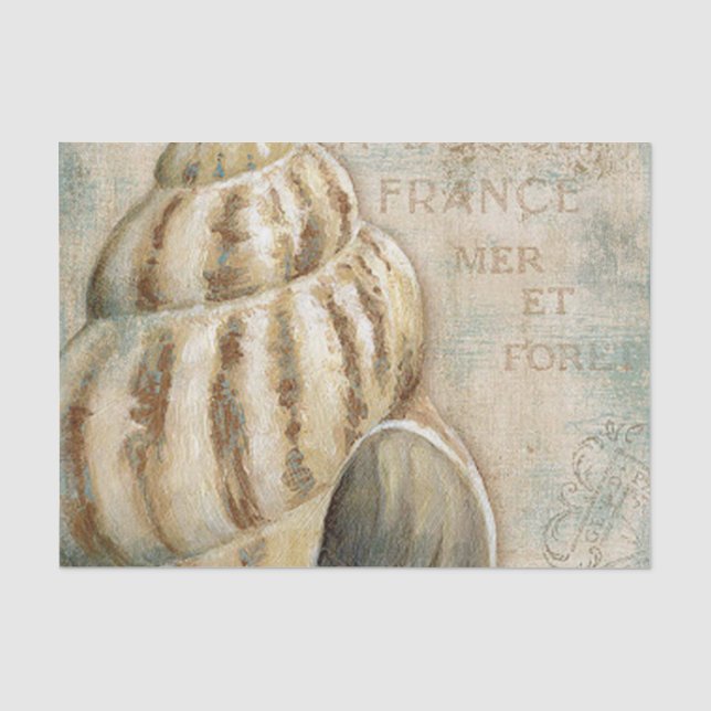 Vintage französische Tritonshorn-Muschel Seidenpapier (Vorderseite)