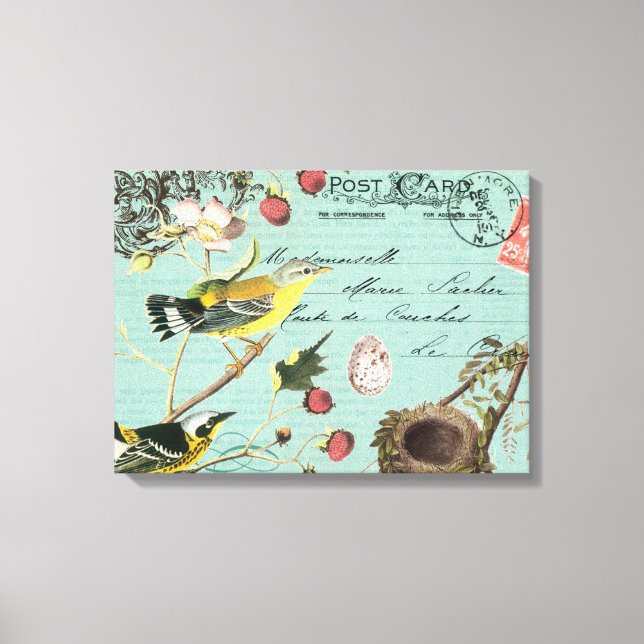 Vintage französische Vogelarten gedehnte Leinwand (Vorderseite)