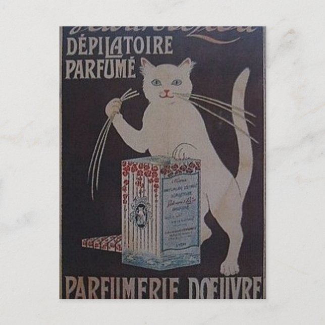 Vintage französische Werbung - Katzen Postkarte (Vorderseite)