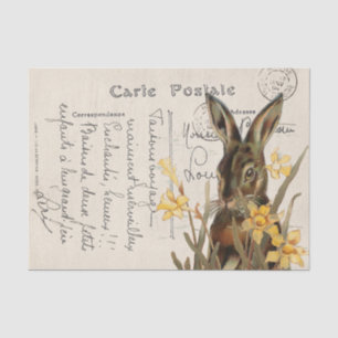 Vintage französischer Osterhase Narzisse Postkarte Seidenpapier