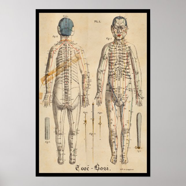 Vintage French 1825 Acupuncture Meridian Points Poster (Vorne)