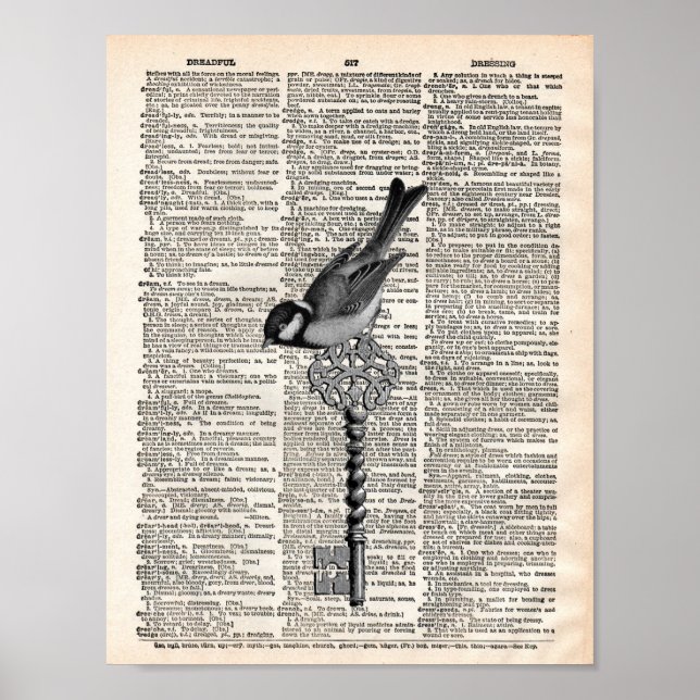 Vintage French bird and key dictionary Poster (Vorne)
