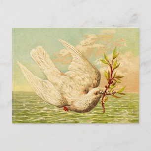 Vintage-Friedens-Taube Postkarte