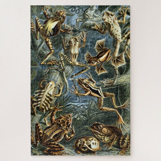 Vintage Frogs von Ernst Haeckel (Vertikal)