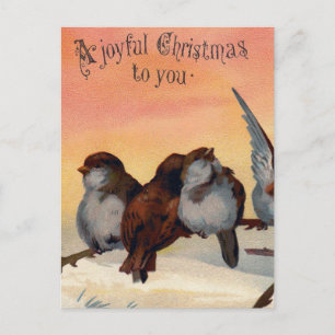 Vintage frohe Weihnachtsvögel Feiertagspostkarte
