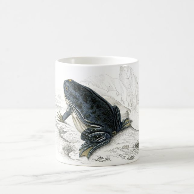 Vintage Frosch Kaffeetasse (Mittel)