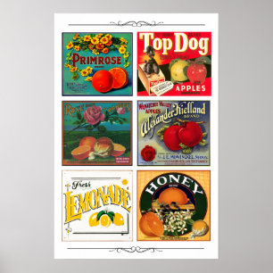 Vintage Fruchanzeigen-Etiketten Poster