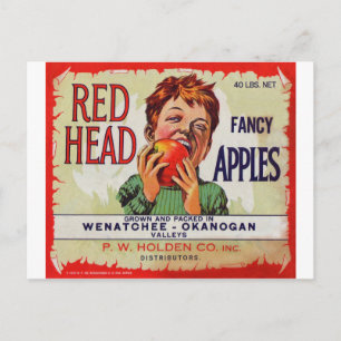 Vintage Fruchetikett - Red Head Äpfel Postkarte